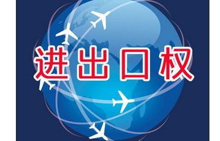 上海外貿(mào)公司如何辦理進(jìn)出口權(quán)資質(zhì)申請與廣告設(shè)計(jì)業(yè)務(wù)拓展